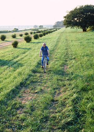 クロスバイクやパーツを購入するなら