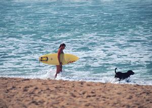 プロ講師の指導によるトレーニングです